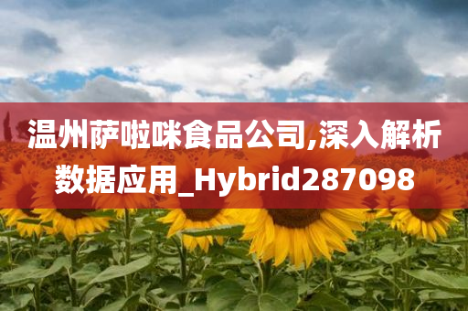 温州萨啦咪食品公司,深入解析数据应用_Hybrid287098