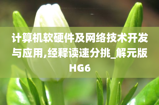 计算机软硬件及网络技术开发与应用,经释读速分挑_解元版HG6