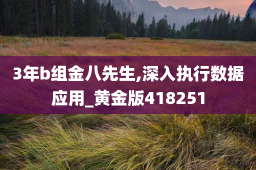 3年b组金八先生,深入执行数据应用_黄金版418251