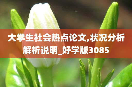 大学生社会热点论文,状况分析解析说明_好学版3085