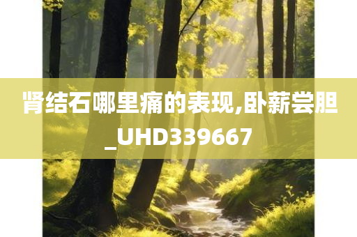 肾结石哪里痛的表现,卧薪尝胆_UHD339667