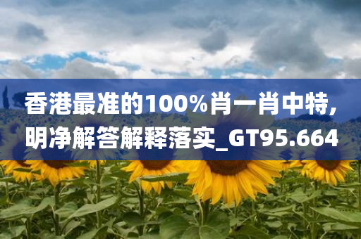 香港最准的100%肖一肖中特,明净解答解释落实_GT95.664