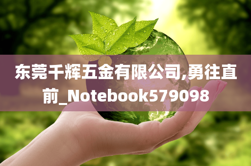 东莞千辉五金有限公司,勇往直前_Notebook579098