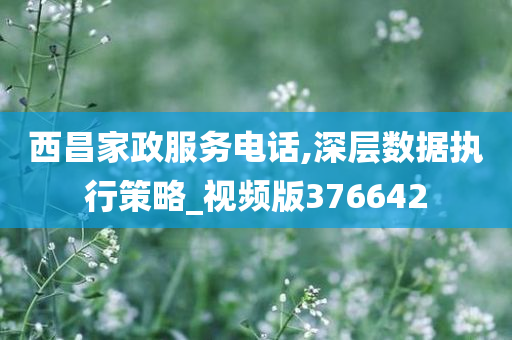 西昌家政服务电话,深层数据执行策略_视频版376642