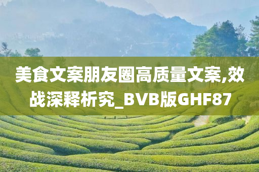 美食文案朋友圈高质量文案,效战深释析究_BVB版GHF87