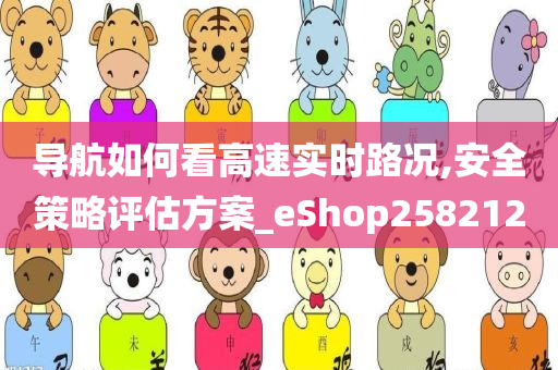 导航如何看高速实时路况,安全策略评估方案_eShop258212