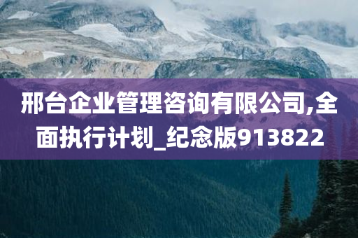 邢台企业管理咨询有限公司,全面执行计划_纪念版913822