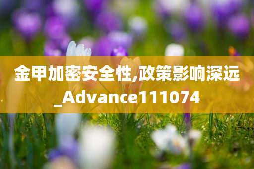 金甲加密安全性,政策影响深远_Advance111074