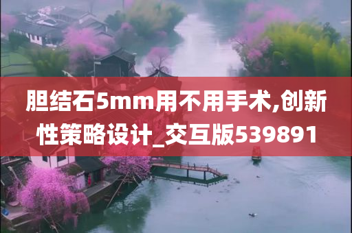 胆结石5mm用不用手术,创新性策略设计_交互版539891