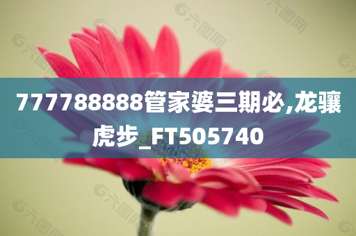 777788888管家婆三期必,龙骧虎步_FT505740