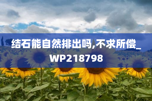 结石能自然排出吗,不求所偿_WP218798