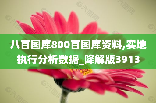 八百图库800百图库资料,实地执行分析数据_降解版3913