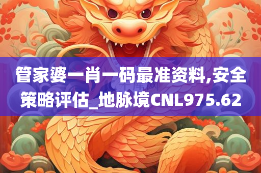 管家婆一肖一码最准资料,安全策略评估_地脉境CNL975.62