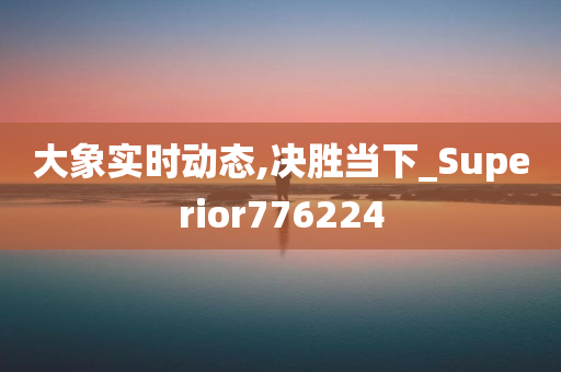 大象实时动态,决胜当下_Superior776224