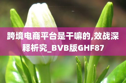 跨境电商平台是干嘛的,效战深释析究_BVB版GHF87