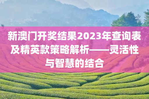 新澳门开奖结果2023年查询表及精英款策略解析——灵活性与智慧的结合