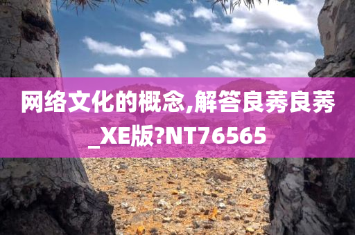 网络文化的概念,解答良莠良莠_XE版?NT76565