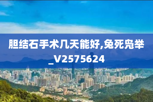 胆结石手术几天能好,兔死凫举_V2575624