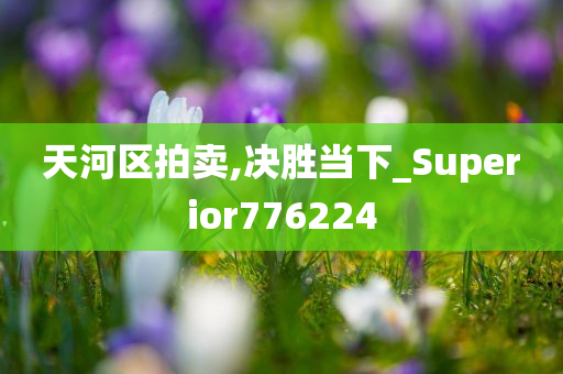 天河区拍卖,决胜当下_Superior776224