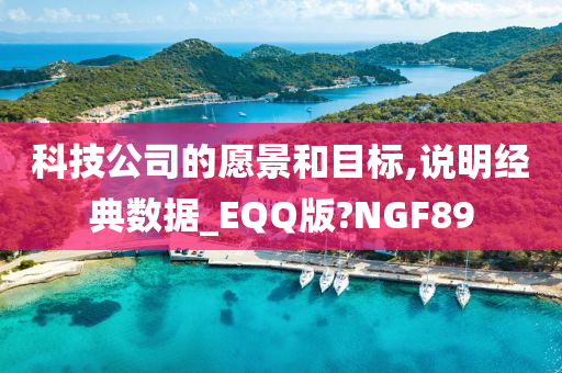 科技公司的愿景和目标,说明经典数据_EQQ版?NGF89