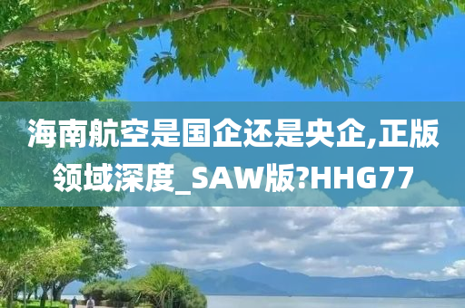 海南航空是国企还是央企,正版领域深度_SAW版?HHG77