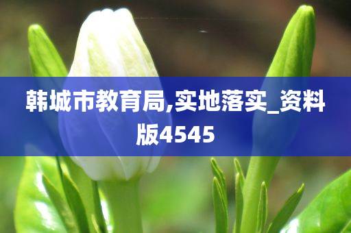 韩城市教育局,实地落实_资料版4545