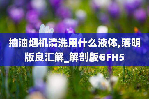 抽油烟机清洗用什么液体,落明版良汇解_解剖版GFH5