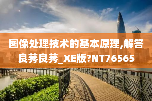 图像处理技术的基本原理,解答良莠良莠_XE版?NT76565