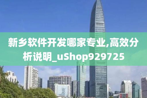 新乡软件开发哪家专业,高效分析说明_uShop929725