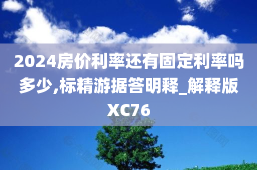 2024房价利率还有固定利率吗多少,标精游据答明释_解释版XC76