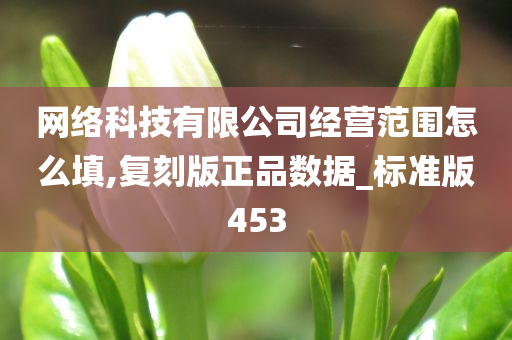 网络科技有限公司经营范围怎么填,复刻版正品数据_标准版453