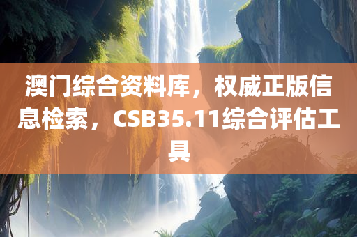 澳门综合资料库，权威正版信息检索，CSB35.11综合评估工具