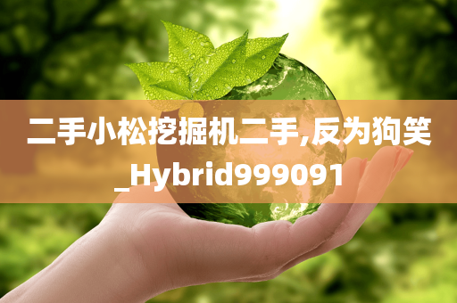 二手小松挖掘机二手,反为狗笑_Hybrid999091