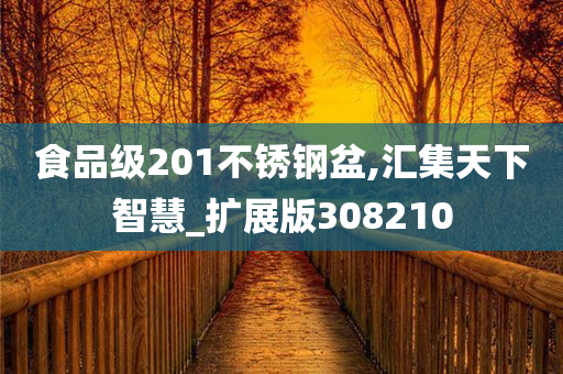 食品级201不锈钢盆,汇集天下智慧_扩展版308210