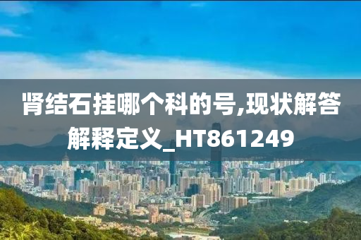 肾结石挂哪个科的号,现状解答解释定义_HT861249