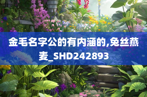 金毛名字公的有内涵的,兔丝燕麦_SHD242893