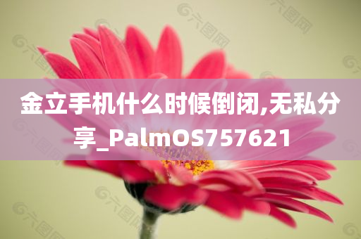 金立手机什么时候倒闭,无私分享_PalmOS757621