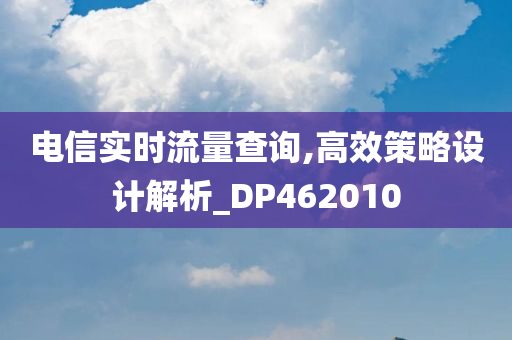 电信实时流量查询,高效策略设计解析_DP462010