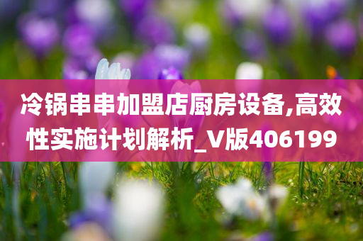 冷锅串串加盟店厨房设备,高效性实施计划解析_V版406199