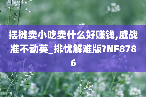 摆摊卖小吃卖什么好赚钱,威战准不动英_排忧解难版?NF8786