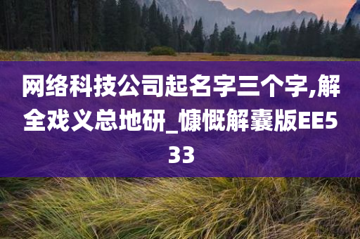 网络科技公司起名字三个字,解全戏义总地研_慷慨解囊版EE533