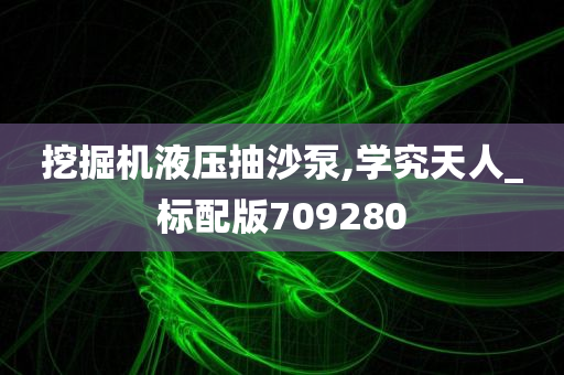 挖掘机液压抽沙泵,学究天人_标配版709280