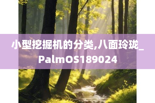 小型挖掘机的分类,八面玲珑_PalmOS189024