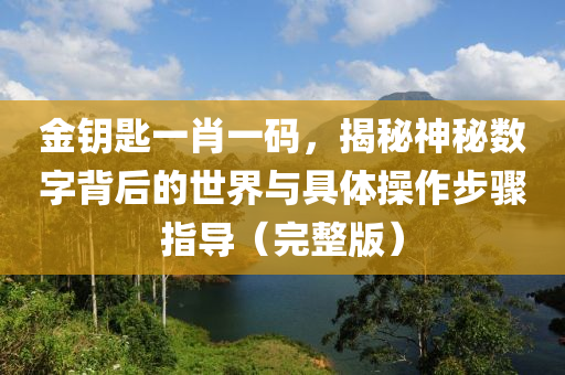 金钥匙一肖一码，揭秘神秘数字背后的世界与具体操作步骤指导（完整版）