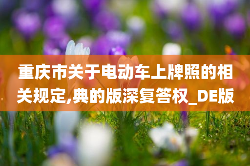 重庆市关于电动车上牌照的相关规定,典的版深复答权_DE版