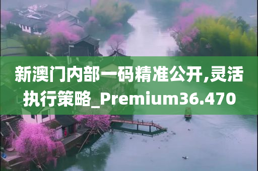 新澳门内部一码精准公开,灵活执行策略_Premium36.470