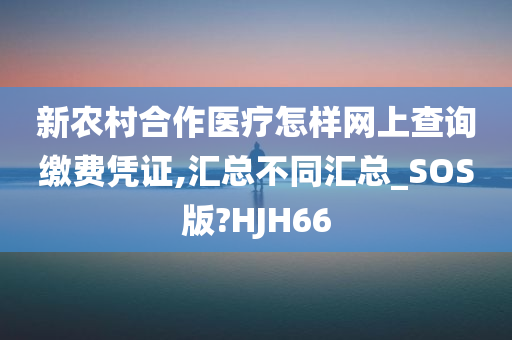 新农村合作医疗怎样网上查询缴费凭证,汇总不同汇总_SOS版?HJH66