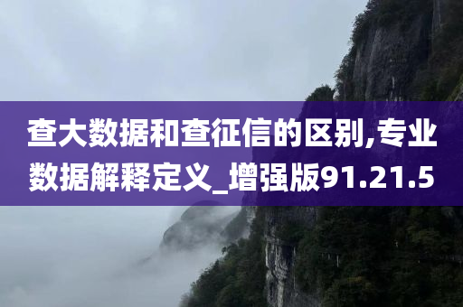 查大数据和查征信的区别,专业数据解释定义_增强版91.21.50