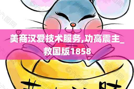 美商汉爱技术服务,功高震主_救国版1858