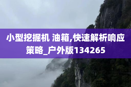 小型挖掘机 油箱,快速解析响应策略_户外版134265